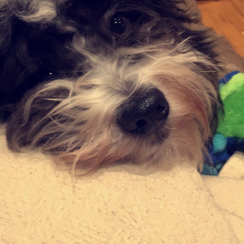 Meet your Posher, Jessica